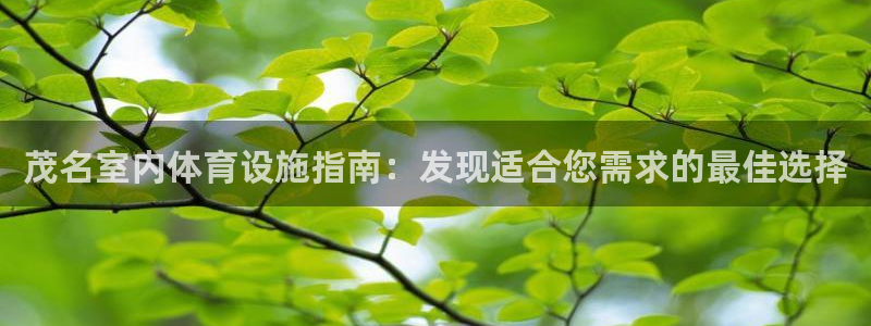 尊龙游戏官方网